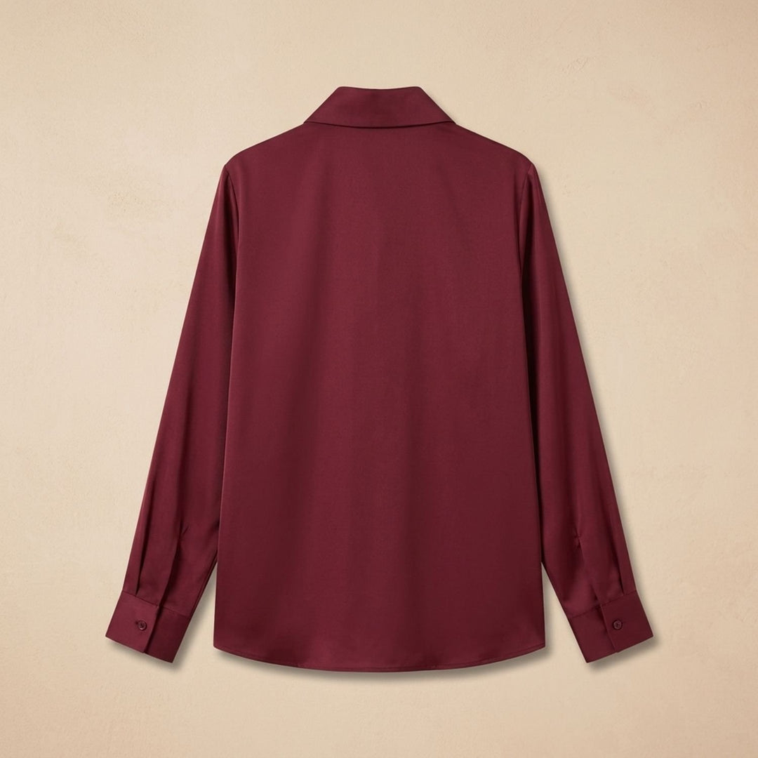 Women's Elegant Satin Deep V-Neck Long Sleeve Dressy Blouse