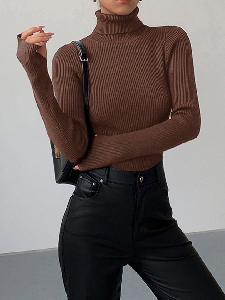 Women's Ribbed Turtleneck Knit Sweater